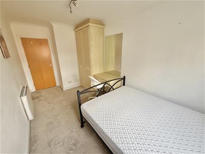 Picture 20